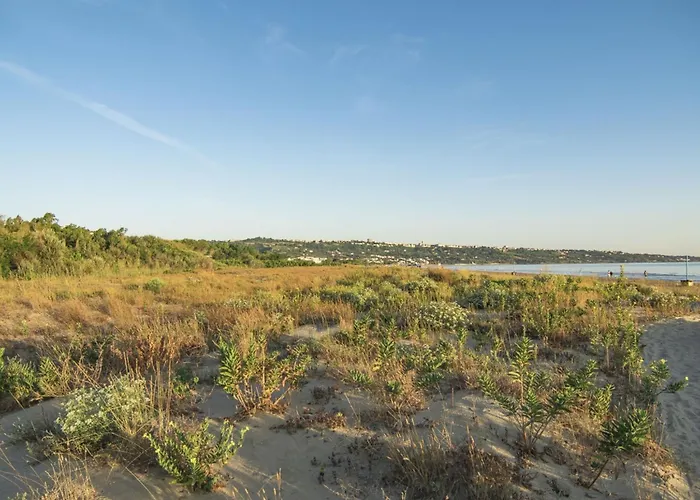 Il Pioppeto By Interhome * ヴァスト